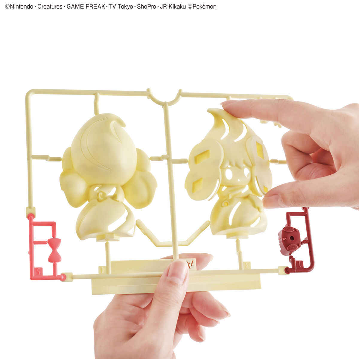 Echte Bandai Pokemon Figuren M – Model Kit Quick Pokemon Bewertung und Preis