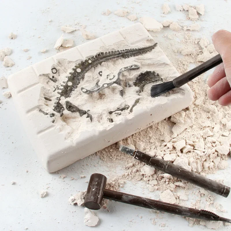 Dinosaurier-Ausgrabung, Fossil – Model Kit Excavator Bewertung und Preis